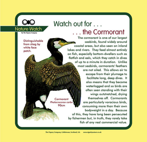 'Cormorant' Nature Watch Panel