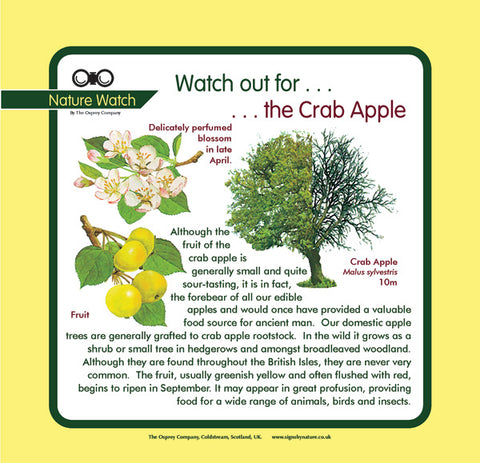 'Crab apple' Nature Watch Panel