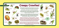 'Creepy crawlies' Nature Watch Plus Panel
