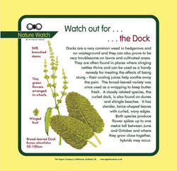 'Dock' Nature Watch Panel