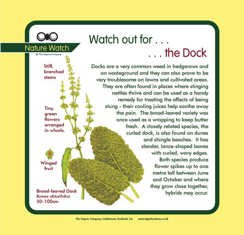 'Dock' Nature Watch Panel