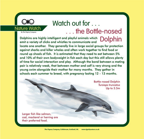 'Dolphin' Nature Watch Panel