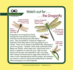 'Dragonfly' Nature Watch Panel