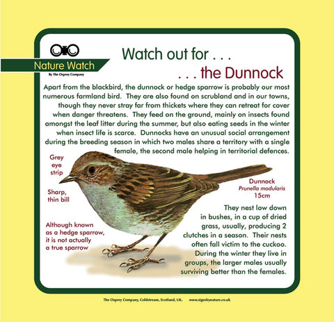 'Dunnock' Nature Watch Panel