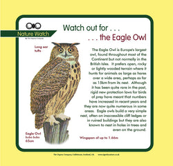 'Eagle owl' Nature Watch Panel