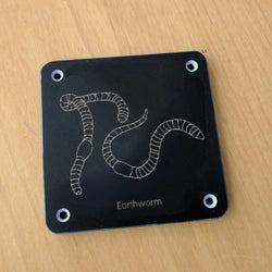 'Earthworm' rubbing plaque