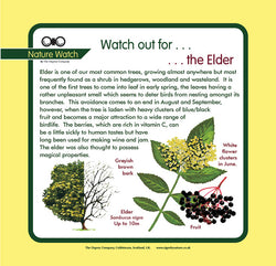 'Elder' Nature Watch Panel