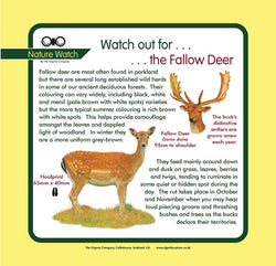 'Fallow deer' Nature Watch Panel