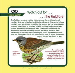 'Fieldfare' Nature Watch Panel