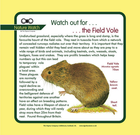 'Field vole' Nature Watch Panel