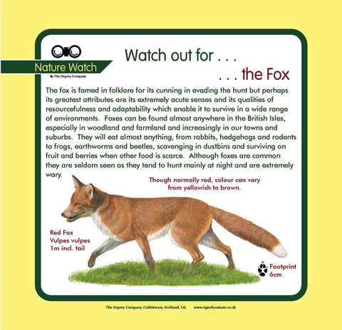 'Fox' Nature Watch Panel