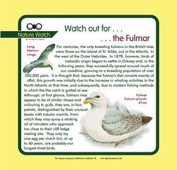 'Fulmar' Nature Watch Panel