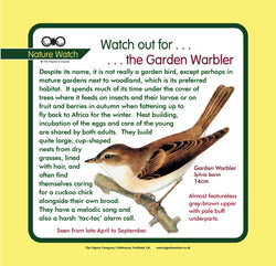 'Garden warbler' Nature Watch Panel