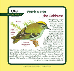 'Goldcrest' Nature Watch Panel