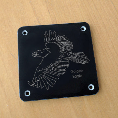 'Golden eagle' rubbing plaque
