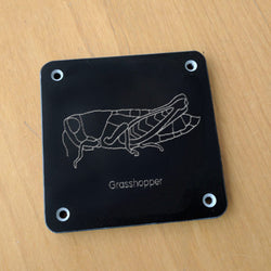 'Grasshopper' rubbing plaque