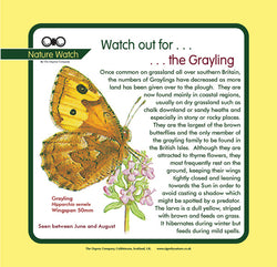 'Grayling' Nature Watch Panel
