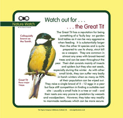 'Great tit' Nature Watch Panel