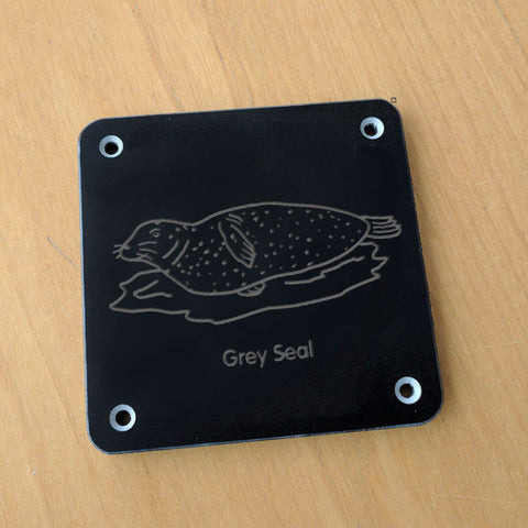 'Grey seal' rubbing plaque