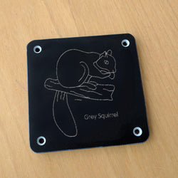 'Grey squirrel' rubbing plaque