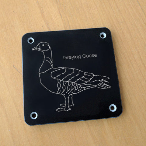 'Greylag goose' rubbing plaque