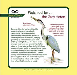 'Grey heron' Nature Watch Panel