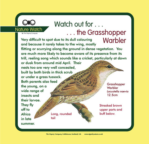 'Grasshopper warbler' Nature Watch Panel