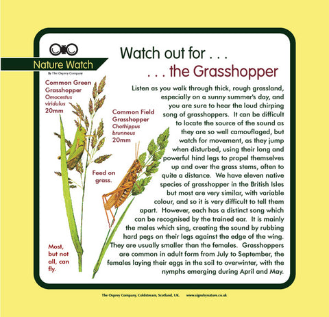 'Grasshopper' Nature Watch Panel