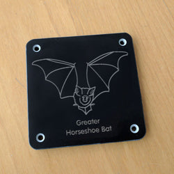 'Greater horseshoe bat' rubbing plaque