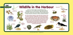 'Harbour' Nature Watch Plus Panel