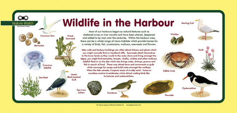 'Harbour' Nature Watch Plus Panel