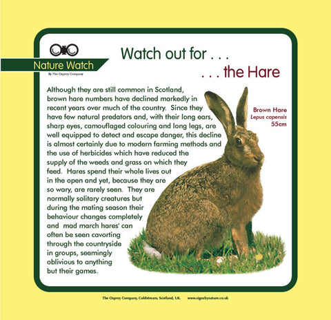 'Hare' Nature Watch Panel