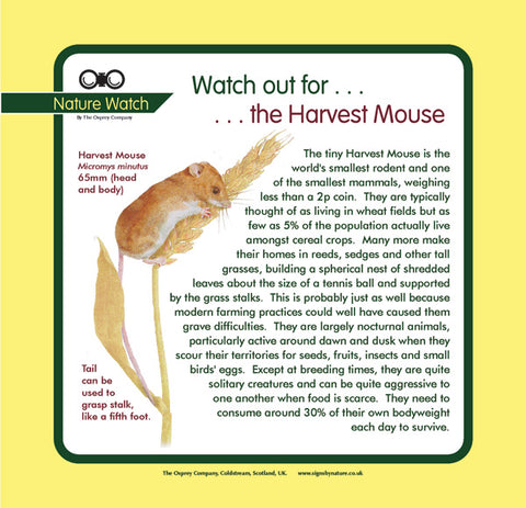 'Harvest mouse' Nature Watch Panel