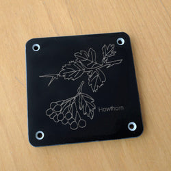 'Hawthorn' rubbing plaque