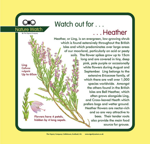 'Heather' Nature Watch Panel