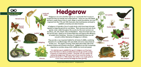 'Hedgerow' Nature Watch Plus Panel
