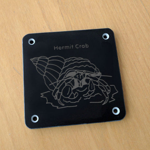 'Hermit crab' rubbing plaque