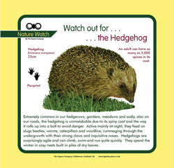 'Hedgehog' Nature Watch Panel