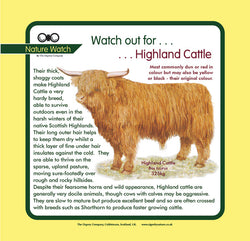 'Highland cattle' Nature Watch Panel