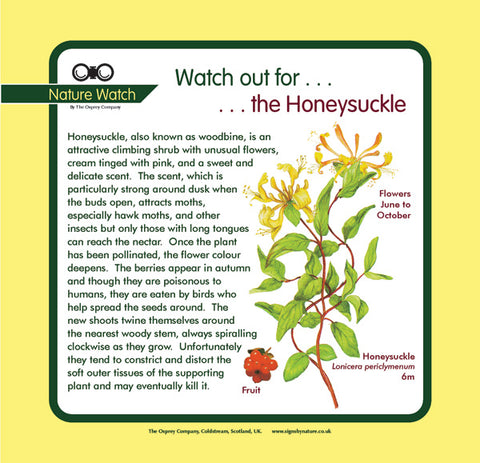 'Honeysuckle' Nature Watch Panel