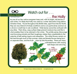 'Holly' Nature Watch Panel