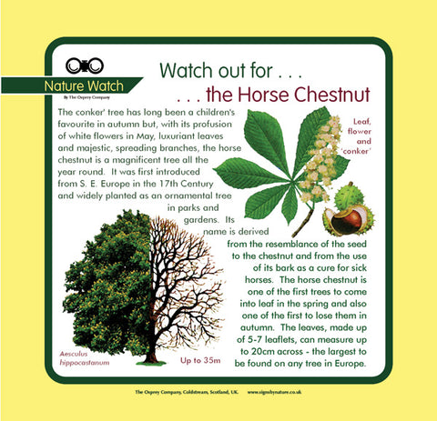 'Horsechestnut' Nature Watch Panel