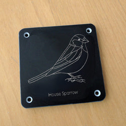 'House sparrow' rubbing plaque