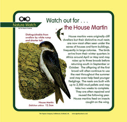 'House martin' Nature Watch Panel