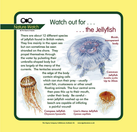 'Jellyfish' Nature Watch Panel