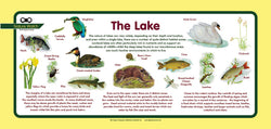 'Lake' Nature Watch Plus Panel