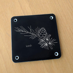 'Larch' rubbing plaque