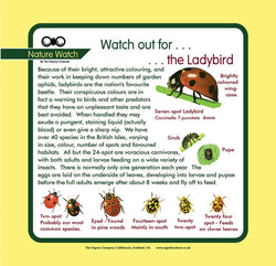 'Ladybird' Nature Watch Panel
