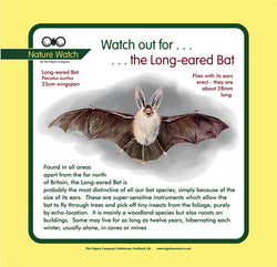 'Long-eared bat' Nature Watch Panel