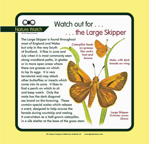 'Large skipper' Nature Watch Panel